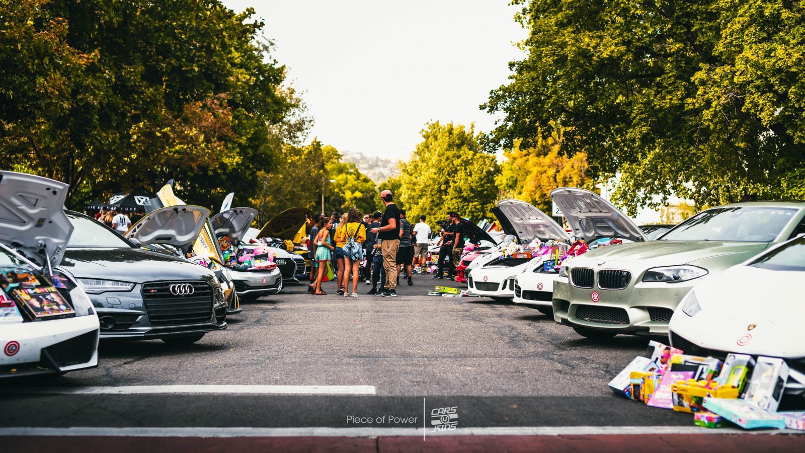 Rows of cars on the grass at a community show